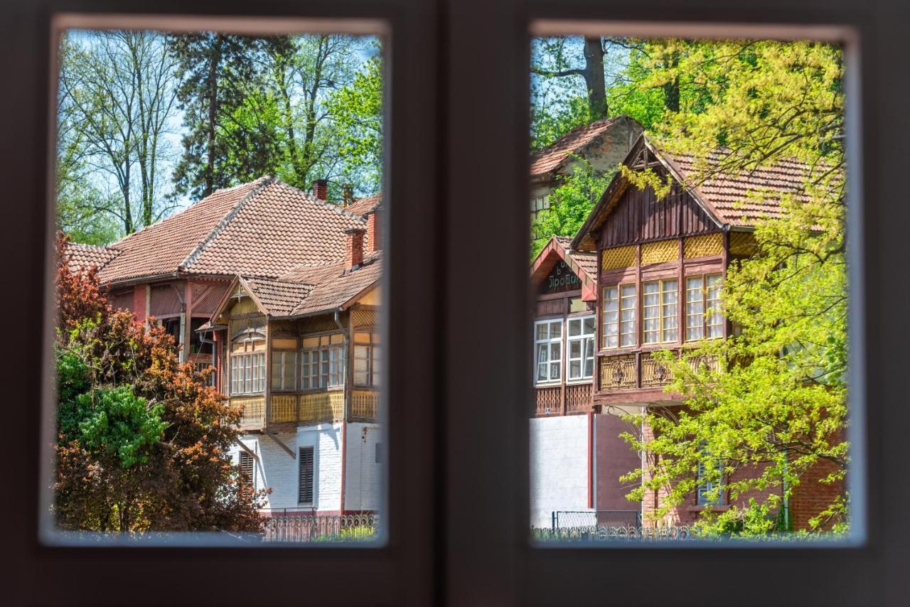 Vila Emilia Vrnjačka Banja Exterior foto